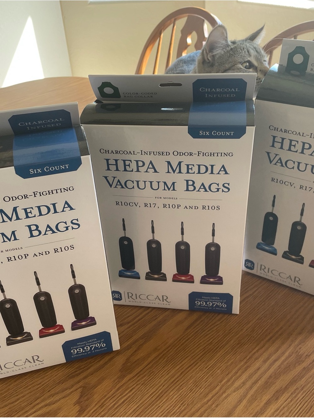 HEPA Media Vacuum Bags - Charcoal-Infused, White (Six Count) Riccar.